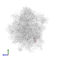 Large ribosomal subunit protein eL24A in PDB entry 3j78, assembly 1, side view.
