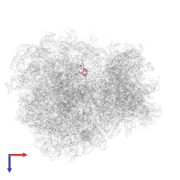 Large ribosomal subunit protein eL24A in PDB entry 3j78, assembly 1, top view.