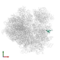 Small ribosomal subunit protein eS21A in PDB entry 3j78, assembly 1, front view.