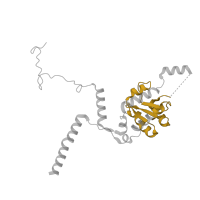 The deposited structure of PDB entry 3j79 contains 1 copy of Pfam domain PF01248 (Ribosomal protein L7Ae/L30e/S12e/Gadd45 family) in 60S ribosomal protein L7a. Showing 1 copy in chain J.