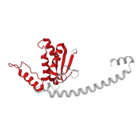 The deposited structure of PDB entry 3j79 contains 1 copy of Pfam domain PF00572 (Ribosomal protein L13) in 60S ribosomal protein L13, putative. Showing 1 copy in chain K.