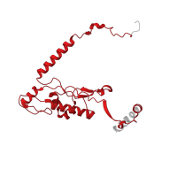 The deposited structure of PDB entry 3j79 contains 1 copy of Pfam domain PF01294 (Ribosomal protein L13e) in 60S ribosomal protein L13. Showing 1 copy in chain L.