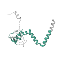 The deposited structure of PDB entry 3j79 contains 1 copy of Pfam domain PF01929 (Ribosomal protein L14) in Large ribosomal subunit protein eL14 domain-containing protein. Showing 1 copy in chain N.