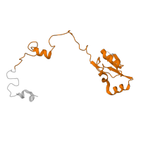 The deposited structure of PDB entry 3j79 contains 1 copy of Pfam domain PF00828 (Ribosomal proteins 50S-L15, 50S-L18e, 60S-L27A) in Large ribosomal subunit protein uL15/eL18 domain-containing protein. Showing 1 copy in chain O.