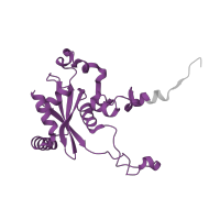 The deposited structure of PDB entry 3j79 contains 1 copy of Pfam domain PF00827 (Ribosomal L15) in Ribosomal protein L15. Showing 1 copy in chain P.