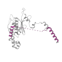 The deposited structure of PDB entry 3j79 contains 1 copy of Pfam domain PF14204 (Ribosomal L18 C-terminal region) in Large ribosomal subunit protein uL18 C-terminal eukaryotes domain-containing protein. Showing 1 copy in chain R.