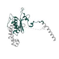 The deposited structure of PDB entry 3j79 contains 1 copy of Pfam domain PF17144 (Ribosomal large subunit proteins 60S L5, and 50S L18) in Large ribosomal subunit protein uL18 C-terminal eukaryotes domain-containing protein. Showing 1 copy in chain R.