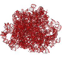 The deposited structure of PDB entry 3j79 contains 1 copy of Rfam domain RF02543 (Eukaryotic large subunit ribosomal RNA) in 28S ribosomal RNA. Showing 1 copy in chain A.