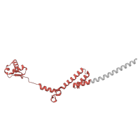 The deposited structure of PDB entry 3j79 contains 1 copy of Pfam domain PF01280 (Ribosomal protein L19e) in Large ribosomal subunit protein eL19 domain-containing protein. Showing 1 copy in chain T.