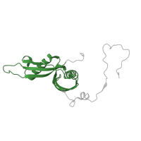 The deposited structure of PDB entry 3j79 contains 1 copy of Pfam domain PF01775 (Ribosomal proteins 50S-L18Ae/60S-L20/60S-L18A) in 60S ribosomal protein L18a. Showing 1 copy in chain U.