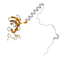 The deposited structure of PDB entry 3j79 contains 1 copy of Pfam domain PF01157 (Ribosomal protein L21e) in 60S ribosomal protein L21. Showing 1 copy in chain V.