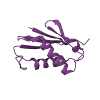 The deposited structure of PDB entry 3j79 contains 1 copy of Pfam domain PF01776 (Ribosomal L22e protein family) in Large ribosomal subunit protein eL22. Showing 1 copy in chain X.