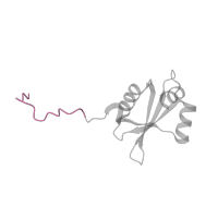 The deposited structure of PDB entry 3j79 contains 1 copy of Pfam domain PF03939 (Ribosomal protein L23, N-terminal domain) in Large ribosomal subunit protein uL23 N-terminal domain-containing protein. Showing 1 copy in chain Y.