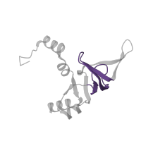 The deposited structure of PDB entry 3j79 contains 1 copy of Pfam domain PF00467 (KOW motif) in KOW domain-containing protein. Showing 1 copy in chain Z.