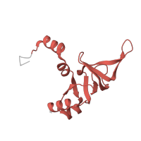 The deposited structure of PDB entry 3j79 contains 1 copy of Pfam domain PF16906 (Ribosomal proteins L26 eukaryotic, L24P archaeal) in KOW domain-containing protein. Showing 1 copy in chain Z.