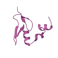 The deposited structure of PDB entry 3j79 contains 1 copy of Pfam domain PF01246 (Ribosomal protein L24e) in 60S ribosomal protein L24, putative. Showing 1 copy in chain AA [auth 0].