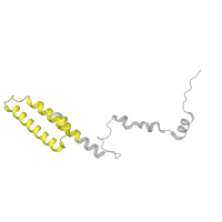 The deposited structure of PDB entry 3j79 contains 1 copy of Pfam domain PF00831 (Ribosomal L29 protein) in 60S ribosomal protein L35, putative. Showing 1 copy in chain DA [auth 3].