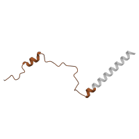 The deposited structure of PDB entry 3j79 contains 1 copy of Pfam domain PF01779 (Ribosomal L29e protein family) in 60S ribosomal protein L29. Showing 1 copy in chain EA [auth 4].