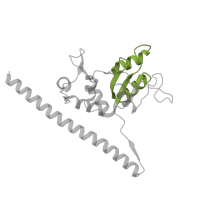 The deposited structure of PDB entry 3j79 contains 1 copy of Pfam domain PF00327 (Ribosomal protein L30p/L7e) in 60S ribosomal protein L7, putative. Showing 1 copy in chain FA [auth 5].