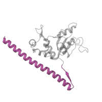 The deposited structure of PDB entry 3j79 contains 1 copy of Pfam domain PF08079 (Ribosomal L30 N-terminal domain) in 60S ribosomal protein L7, putative. Showing 1 copy in chain FA [auth 5].