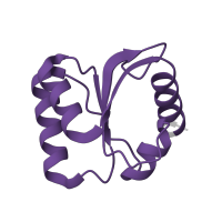 The deposited structure of PDB entry 3j79 contains 1 copy of Pfam domain PF01248 (Ribosomal protein L7Ae/L30e/S12e/Gadd45 family) in Ribosomal protein eL8/eL30/eS12/Gadd45 domain-containing protein. Showing 1 copy in chain GA [auth 6].
