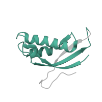 The deposited structure of PDB entry 3j79 contains 1 copy of Pfam domain PF01198 (Ribosomal protein L31e) in 60S ribosomal protein L31. Showing 1 copy in chain HA [auth 7].