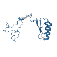 The deposited structure of PDB entry 3j79 contains 1 copy of Pfam domain PF01655 (Ribosomal protein L32) in 60S ribosomal protein L32. Showing 1 copy in chain IA [auth 8].