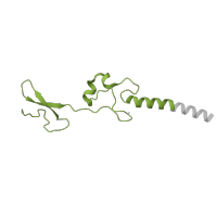 The deposited structure of PDB entry 3j79 contains 1 copy of Pfam domain PF01199 (Ribosomal protein L34e) in 60S ribosomal protein L34. Showing 1 copy in chain KA [auth a].