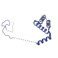 The deposited structure of PDB entry 3j79 contains 1 copy of Pfam domain PF01158 (Ribosomal protein L36e) in 60S ribosomal protein L36. Showing 1 copy in chain LA [auth b].