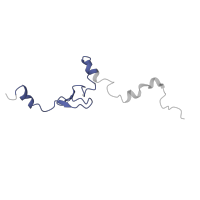 The deposited structure of PDB entry 3j79 contains 1 copy of Pfam domain PF01907 (Ribosomal protein L37e) in Ribosomal protein L37. Showing 1 copy in chain MA [auth c].