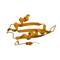 The deposited structure of PDB entry 3j79 contains 1 copy of Pfam domain PF01781 (Ribosomal L38e protein family) in 60S ribosomal protein L38. Showing 1 copy in chain NA [auth d].