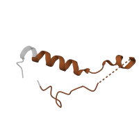 The deposited structure of PDB entry 3j79 contains 1 copy of Pfam domain PF00832 (Ribosomal L39 protein) in 60S ribosomal protein L39. Showing 1 copy in chain OA [auth e].