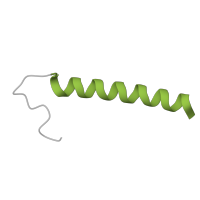 The deposited structure of PDB entry 3j79 contains 1 copy of Pfam domain PF05162 (Ribosomal protein L41) in 60S ribosomal protein L41. Showing 1 copy in chain QA [auth g].