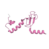 The deposited structure of PDB entry 3j79 contains 1 copy of Pfam domain PF01780 (Ribosomal L37ae protein family) in Large ribosomal subunit protein eL43. Showing 1 copy in chain RA [auth h].