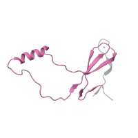 The deposited structure of PDB entry 3j79 contains 1 copy of Pfam domain PF00935 (Ribosomal protein L44) in Large ribosomal subunit protein eL42. Showing 1 copy in chain SA [auth i].