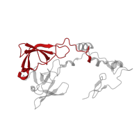 The deposited structure of PDB entry 3j79 contains 1 copy of Pfam domain PF00181 (Ribosomal Proteins L2, RNA binding domain) in Large ribosomal subunit protein uL2 C-terminal domain-containing protein. Showing 1 copy in chain D.