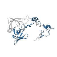 The deposited structure of PDB entry 3j79 contains 1 copy of Pfam domain PF03947 (Ribosomal Proteins L2, C-terminal domain) in Large ribosomal subunit protein uL2 C-terminal domain-containing protein. Showing 1 copy in chain D.