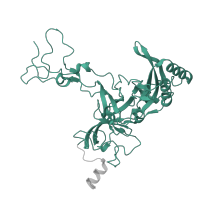 The deposited structure of PDB entry 3j79 contains 1 copy of Pfam domain PF00297 (Ribosomal protein L3) in 60S ribosomal protein L3. Showing 1 copy in chain E.