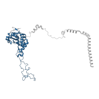 The deposited structure of PDB entry 3j79 contains 1 copy of Pfam domain PF00573 (Ribosomal protein L4/L1 family) in Large ribosomal subunit protein uL4 C-terminal domain-containing protein. Showing 1 copy in chain F.