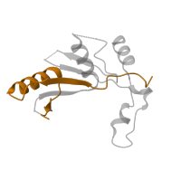 The deposited structure of PDB entry 3j79 contains 1 copy of Pfam domain PF00281 (Ribosomal protein L5) in 60S ribosomal protein L11a, putative. Showing 1 copy in chain G.