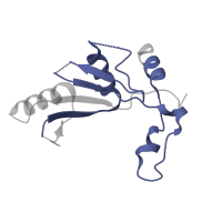 The deposited structure of PDB entry 3j79 contains 1 copy of Pfam domain PF00673 (ribosomal L5P family C-terminus) in 60S ribosomal protein L11a, putative. Showing 1 copy in chain G.