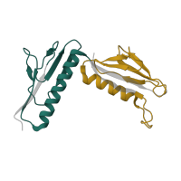 The deposited structure of PDB entry 3j79 contains 2 copies of Pfam domain PF00347 (Ribosomal protein L6) in Large ribosomal subunit protein uL6 alpha-beta domain-containing protein. Showing 2 copies in chain H.