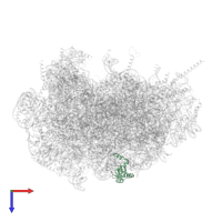 KOW domain-containing protein in PDB entry 3j79, assembly 1, top view.