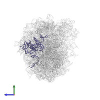 5.8S ribosomal RNA in PDB entry 3j79, assembly 1, side view.