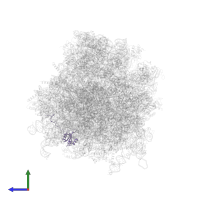 Ribosomal protein L23/L25 N-terminal domain-containing protein in PDB entry 3j7p, assembly 1, side view.