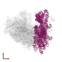 18S Ribosomal RNA in PDB entry 3j7p, assembly 1, front view.