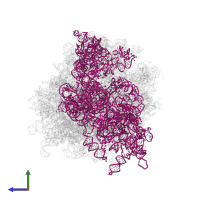 18S Ribosomal RNA in PDB entry 3j7p, assembly 1, side view.