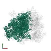 28S ribosomal RNA in PDB entry 3j7r, assembly 1, front view.