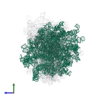 28S ribosomal RNA in PDB entry 3j7r, assembly 1, side view.