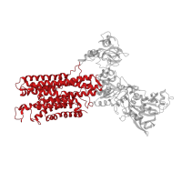 The deposited structure of PDB entry 3j7t contains 1 copy of CATH domain 1.20.1110.10 (Calcium-transporting ATPase, transmembrane domain) in Sarcoplasmic/endoplasmic reticulum calcium ATPase 1. Showing 1 copy in chain A.